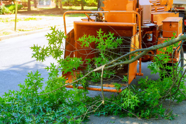 Lawn Irrigation Installation and Maintenance